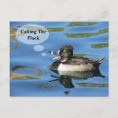 家族の懇親会が群れの鴨の発表を呼び出す ポストカード (正面)