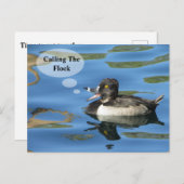 家族の懇親会が群れの鴨の発表を呼び出す ポストカード (正面/裏面)