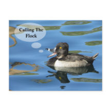 家族の懇親会が群れの鴨の発表を呼び出す