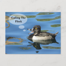 家族の懇親会が群れの鴨の発表を呼び出す ポストカード