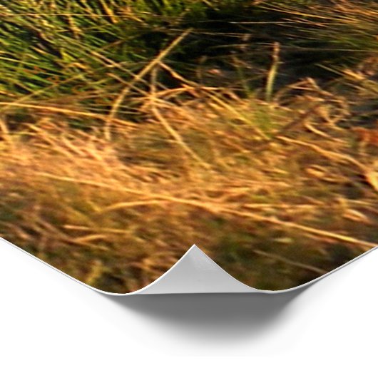 家族の時間…..... ポスター (角)