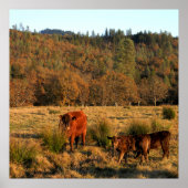 家族の時間…..... ポスター (正面)