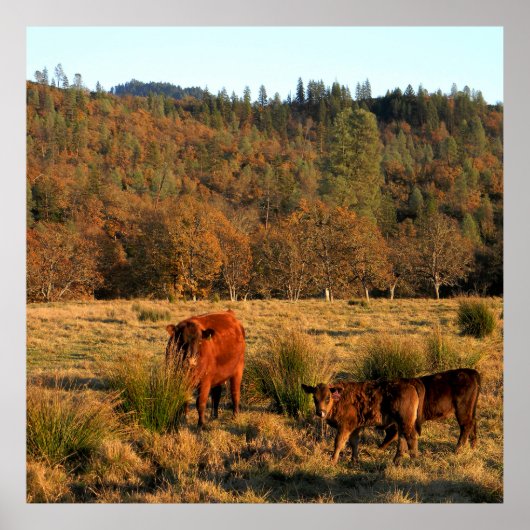 家族の時間…..... ポスター (正面)