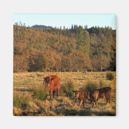家族の時間…..... マグネット