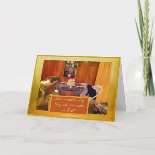 家族の猫がケーキを焼き上げる シーズンカード (正面)