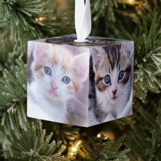 家族の猫の写真 キューブオーナメント (ツリー)