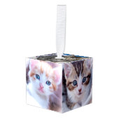 家族の猫の写真 キューブオーナメント (正面アングル)