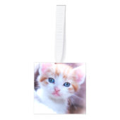 家族の猫の写真 キューブオーナメント (正面)