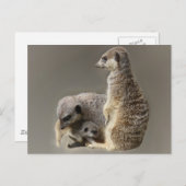 家族の絆 ポストカード (正面/裏面)