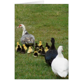 家族の音楽を一列に導く