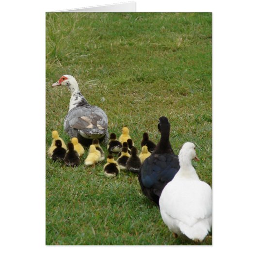 家族の音楽を一列に導く (正面)