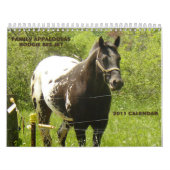 家族のAppaloosas 2011年 カレンダー (カバー)