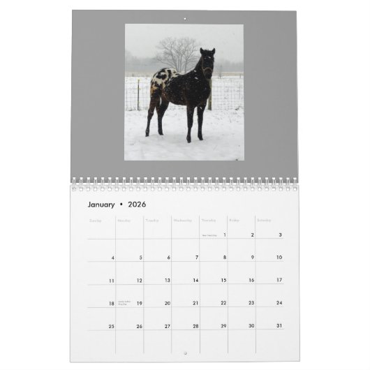 家族のAppaloosas 2011年 カレンダー (1月 2026)
