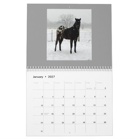 家族のAppaloosas 2011年 カレンダー (1月 2027)