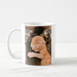 家族はすべて、子猫のコーヒーマグ コーヒーマグカップ