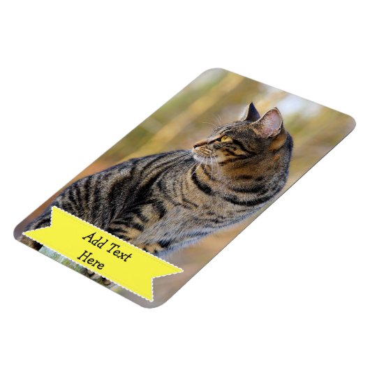 家族カスタマイズペットの写真マグネット追加文字 マグネット (左側)