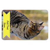 家族カスタマイズペットの写真マグネット追加文字 マグネット (横)