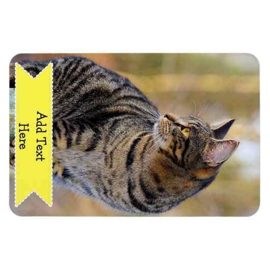 家族カスタマイズペットの写真マグネット追加文字 マグネット (横)