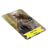 家族カスタマイズペットの写真マグネット追加文字 マグネット (右側)