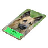 家族カスタマイズペットの写真マグネット追加文字 マグネット (左側)