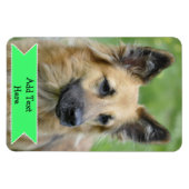 家族カスタマイズペットの写真マグネット追加文字 マグネット (横)