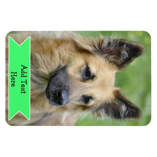 家族カスタマイズペットの写真マグネット追加文字 マグネット (横)