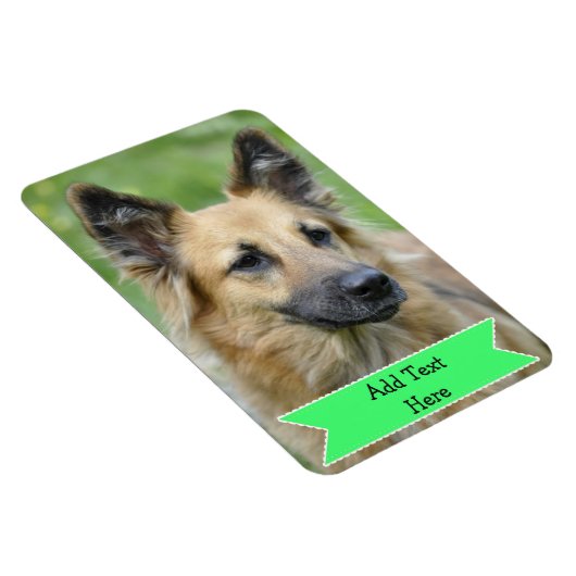 家族カスタマイズペットの写真マグネット追加文字 マグネット (右側)