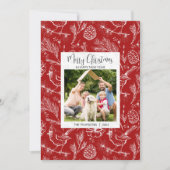 家族パーソナライズされた写真(鳥)ショウジョウコウカンチョウクリスマスカード シーズンカード (正面)