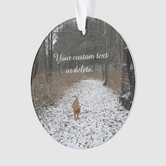 家族ペット-あなた自身の写真を作成して下さい オーナメント (正面)