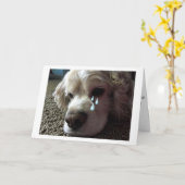 「家族ペット」の同情証の紛失 カード (黄色い花)