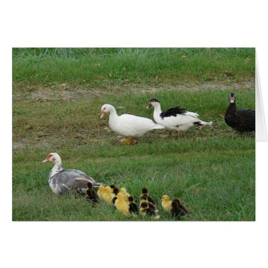 家族全員 (正面横)