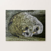 家族内のフクロウ ジグソーパズル (横)