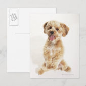 家族性癌 ポストカード (正面/裏面)