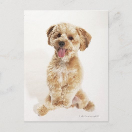 家族性癌 ポストカード (正面)