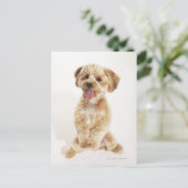 家族性癌 ポストカード (スタンド正面)