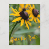 家族懇親会交換可能な写真Rudbekia花 ポストカード (正面)