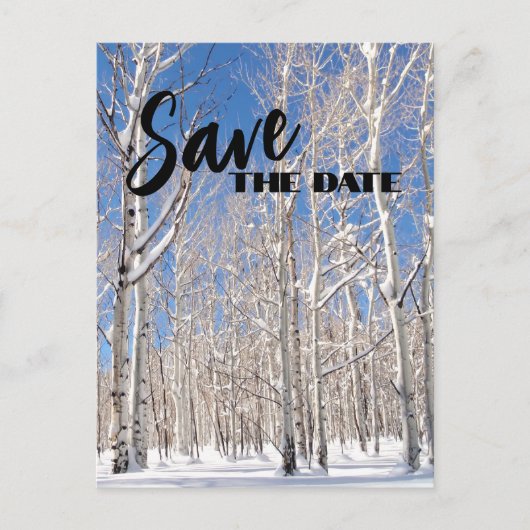 家族懇親会日付を保存する雪の冬の《植物》アスペン 案内ポストカード (正面)