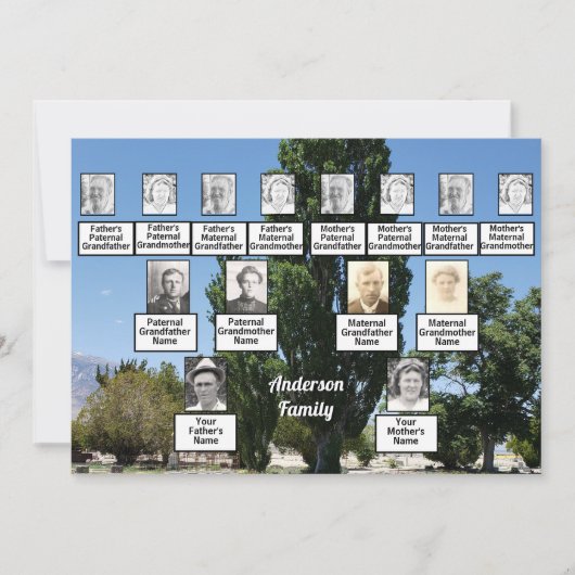 家族懇親会3木の列の世代写真 招待状 (正面)