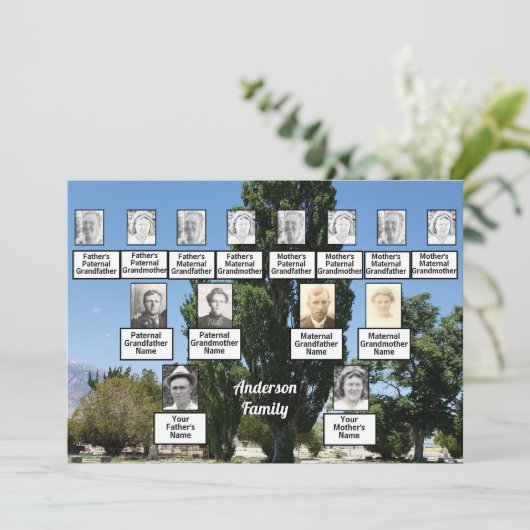 家族懇親会3木の列の世代写真 招待状 (スタンド正面)