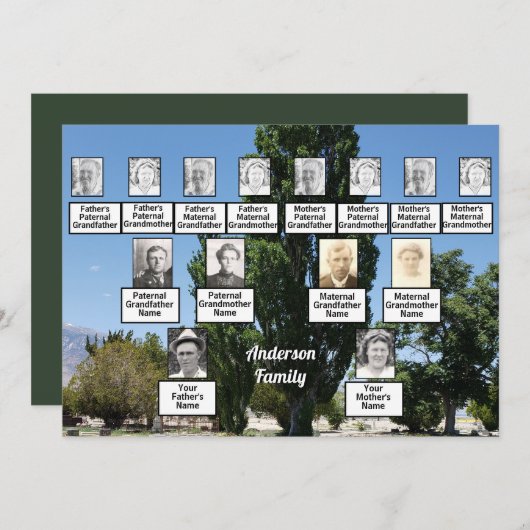 家族懇親会3木の列の世代写真 招待状 (正面/裏面)