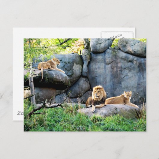 家族王室の ポストカード (正面/裏面)