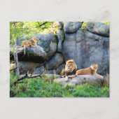 家族王室の ポストカード (正面)