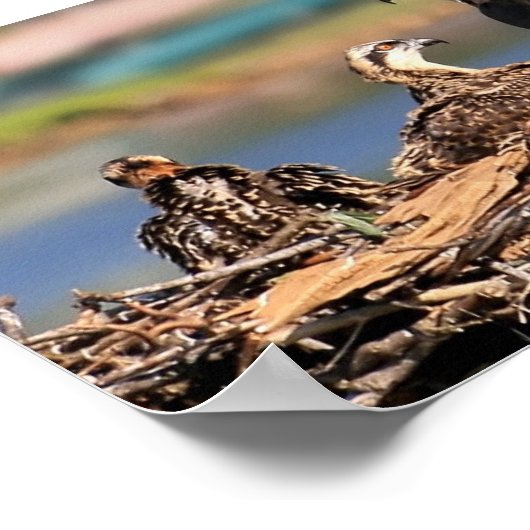 家族関係 ポスター (角)