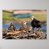 家族関係 ポスター (正面)