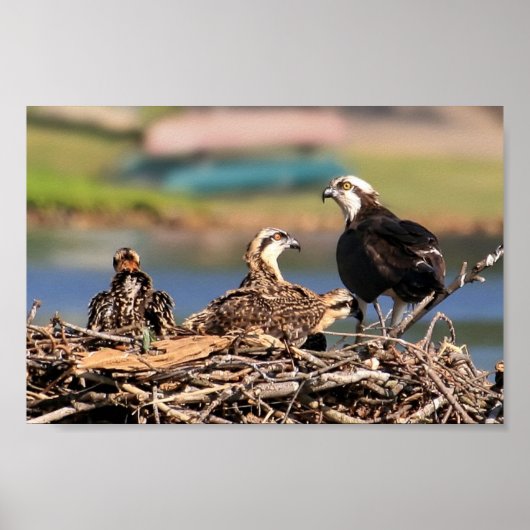 家族関係 ポスター (正面)