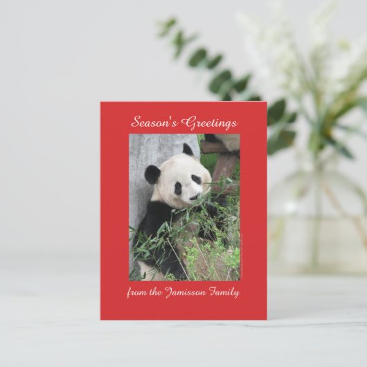 家族、郵便はがきからの季節のごあいさつ シーズンポストカード (スタンド正面)