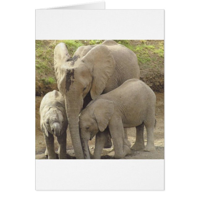 家族unit.jpg (正面)