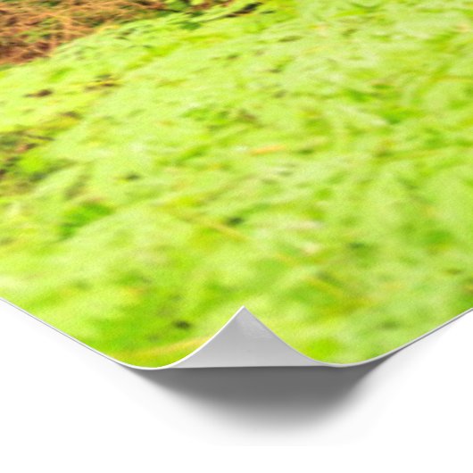 家父長の森の古い成長の森 ポスター (角)