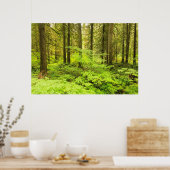 家父長の森の古い成長の森 ポスター (キッチン)