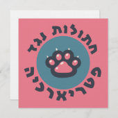 家父長制ユダヤ人フェミニストに反対するヘブライ猫 (正面/裏面)